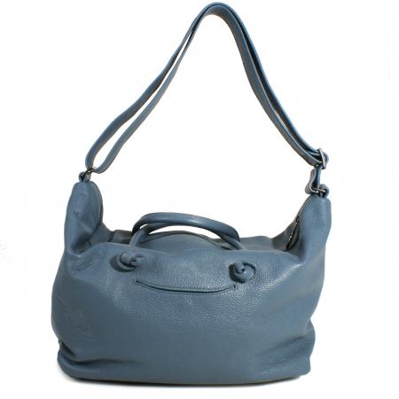 CHAMELEON <br> blue grey